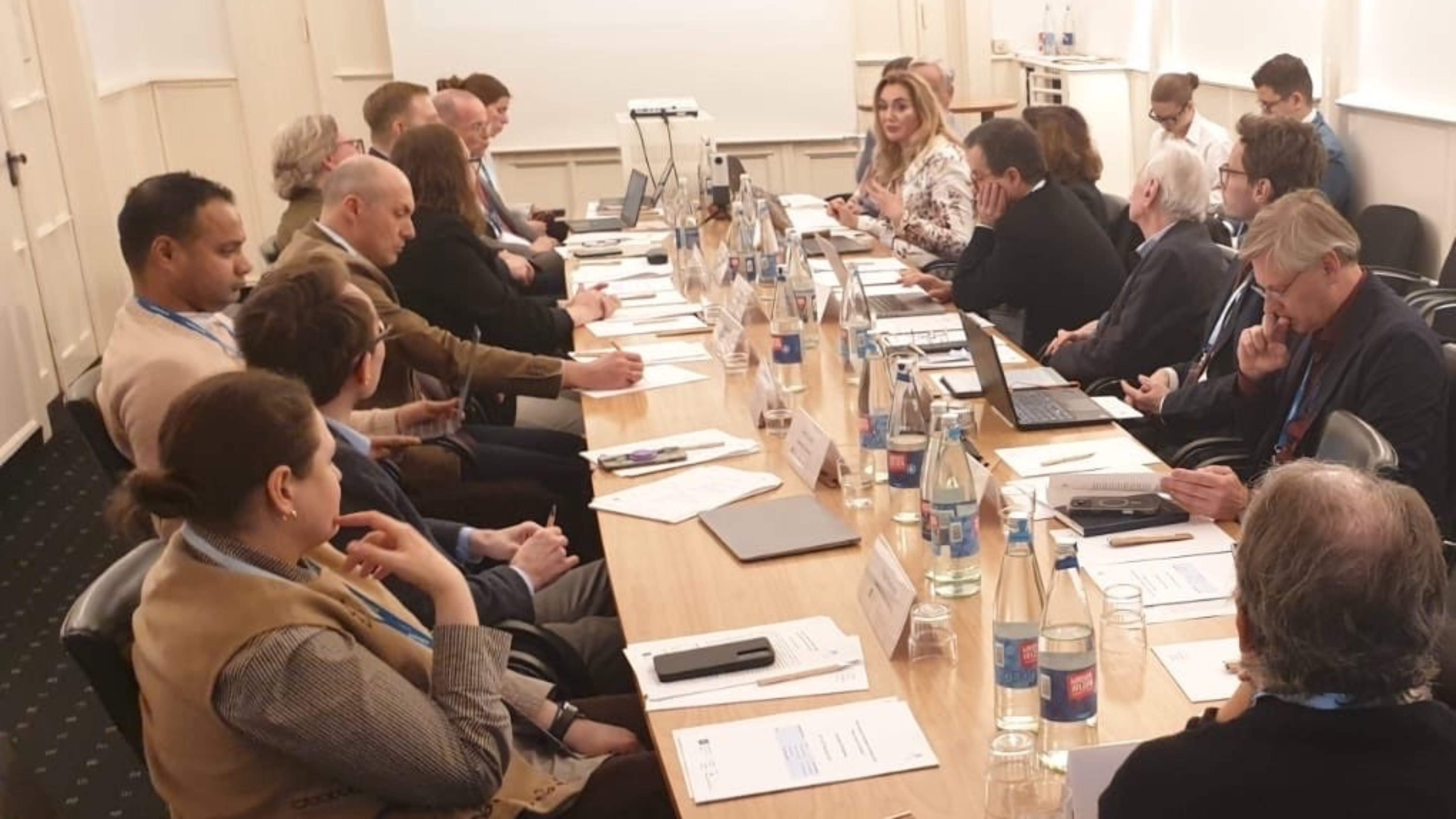 Hanna Yudkivska participated in the Hamburg conference on the future of the Ukrainian Constitution