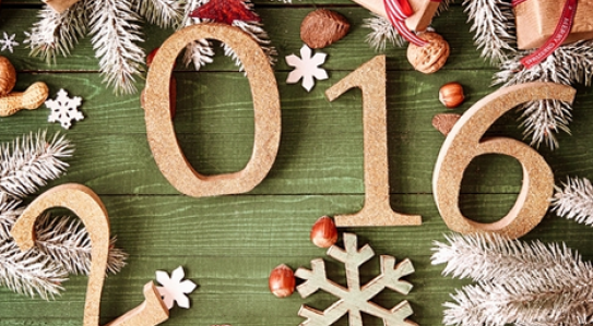 Merry Christmas and Happy New Year 2016!